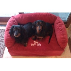 Pet Beds & Blankets category of pet products